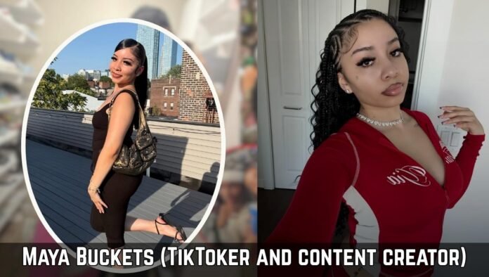 Maya Buckets